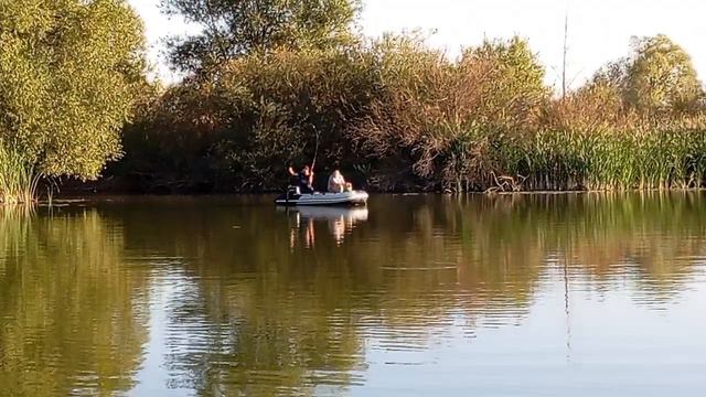 Поймал подсак...🙂