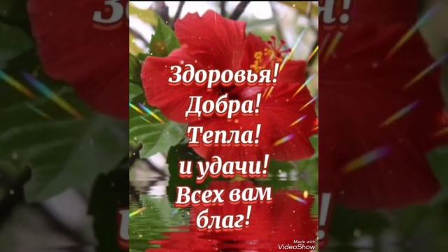 Доброе утро☀ 🌝Будьте счастливы и Богом хранимы 🙏🙏🙏