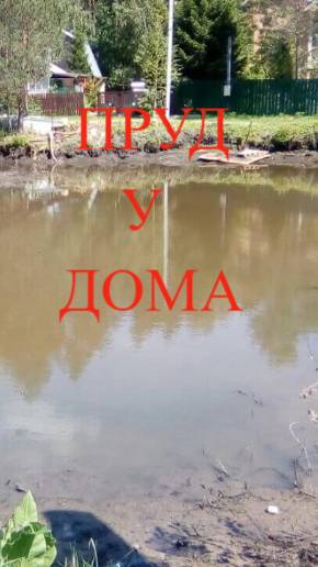 ЛОВИМ КАРАСЯ 🎣 | ПРУД У ДОМА | ДАЧА | #рыбалка #fishing #природа #пруд