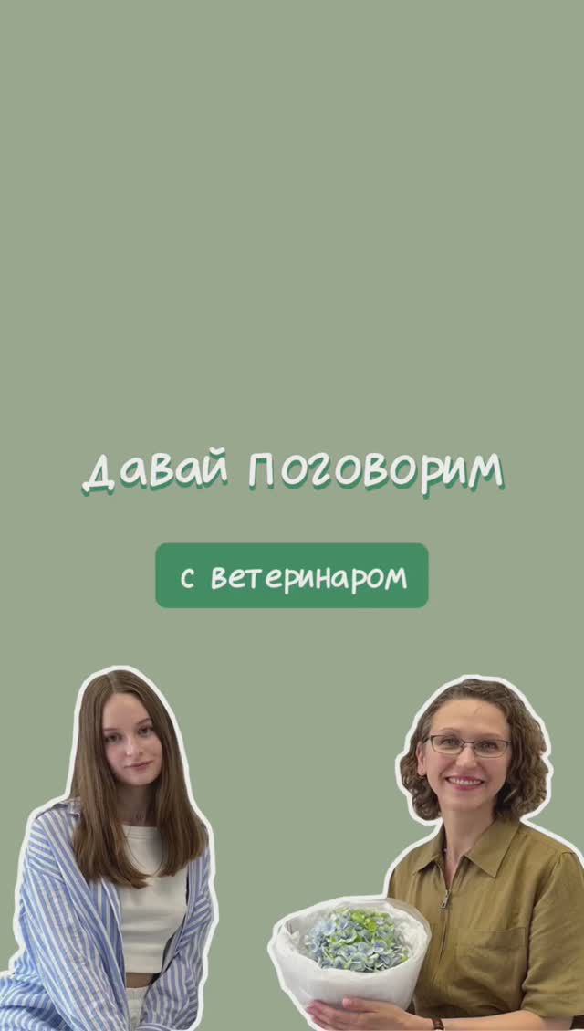 Полное интервью с ветеринаром
https://rutube.ru/video/1da5799d2780f0c103f00f9e3a8848ed/