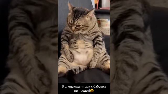 Эх! Уж! Это лето...!!!