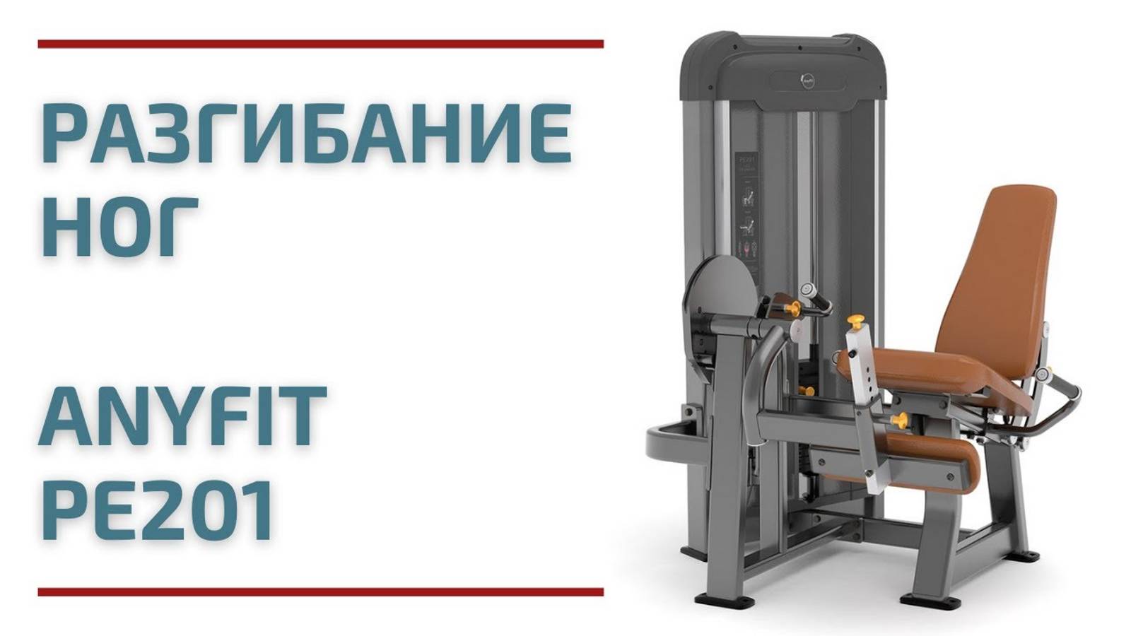 Разгибание ног AnyFit PE201