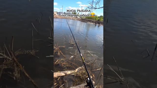 Жиза рыбака😂последний заброс🤣 #fishing #рыбалка #spinning #удочка #заброс #рыбак #карась