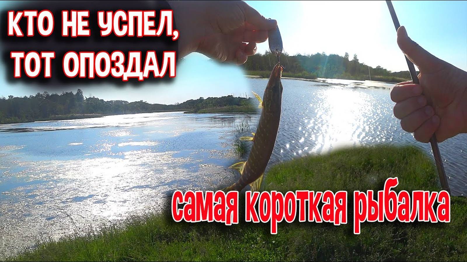 Кто не успел, тот опоздал. Самая короткая рыбалка