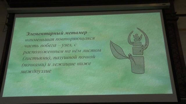 9. Метаморфозы корней. Высшие растения - Зернов А. С. Teach-in.