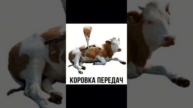 Попробуй не засмеяться. Часть 12