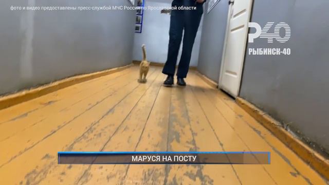 (Рыбинск-40) МАРУСЯ НА ПОСТУ