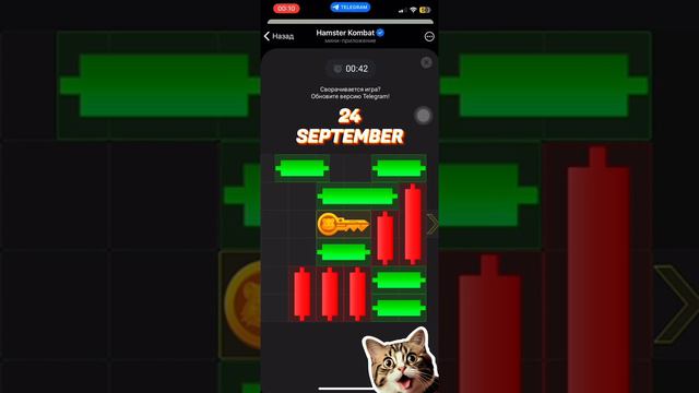 ГОЛОВОЛОМКА 24 сентября Hamster kombat | КАК ЗАБРАТЬ КЛЮЧ