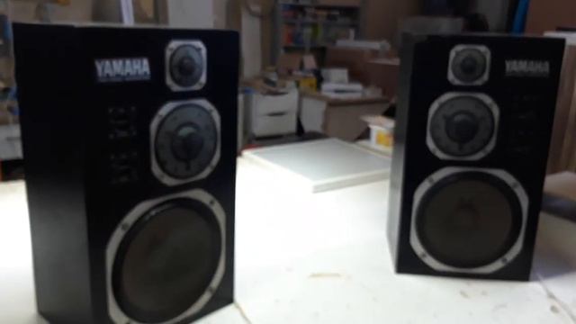 Пришла долгожданная Yamaha NS-1000m