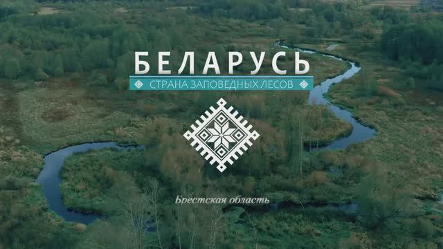 Беларусь - страна заповедных лесов (Брестская область), Республика Беларусь