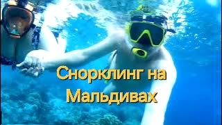 Мальдивы в ноябре. 26 серия. Снорклинг на Fihalhohi.