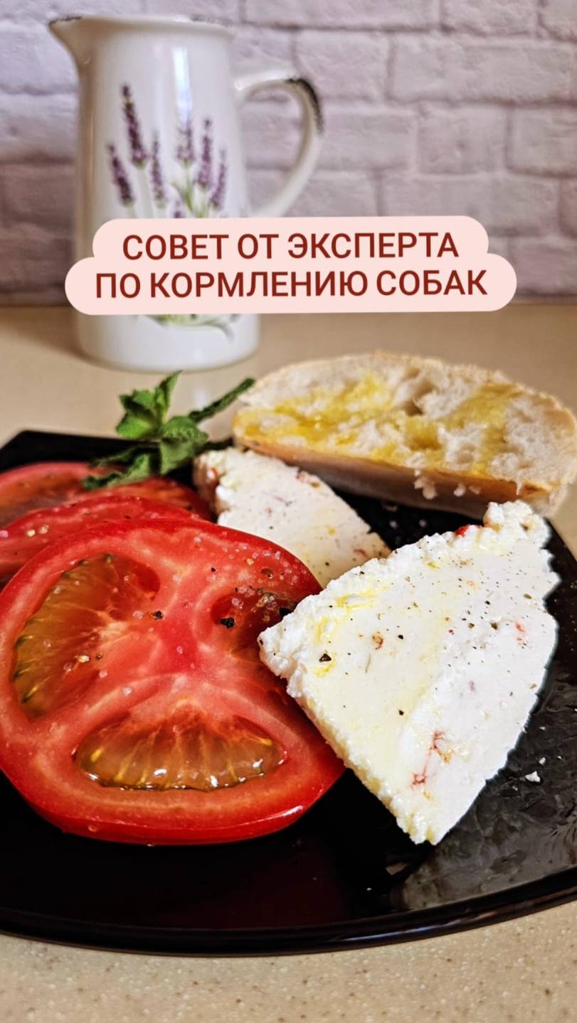 советы от эксперта