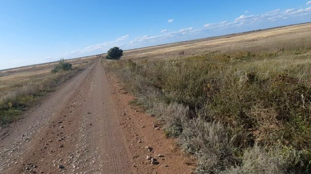 Насыпная дорога на село Новосклюиха. (Извиняюсь за нецензурную лексику, но у меня накипело.)😊