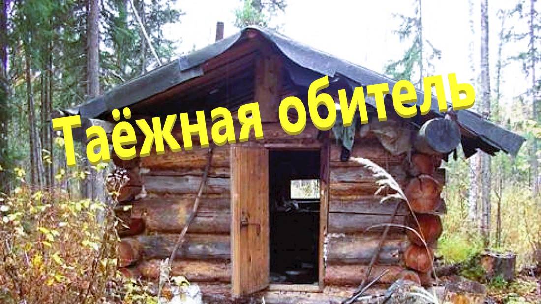 Отшельники. поиски лесных жителей.