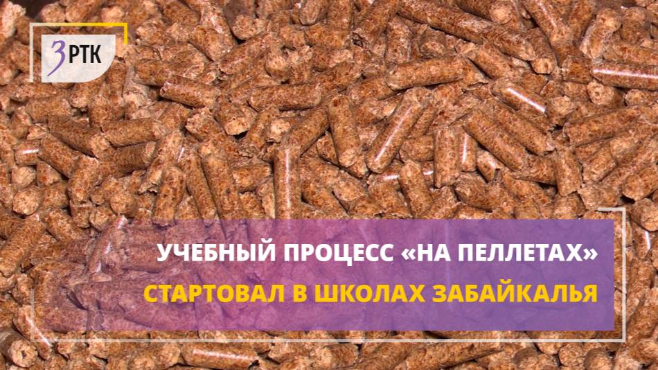 Учебный процесс «на пеллетах» стартовал в школах Забайкалья