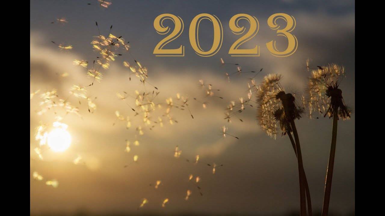 Лето 2023