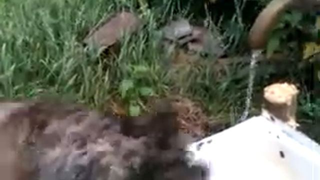 VIDEO0003.3gp