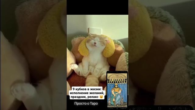 Просто о картах #таро #9кубков 
Чтоб мы все так отдыхали 😺
#тароюмор #картытаро
t.me/tarot_healing