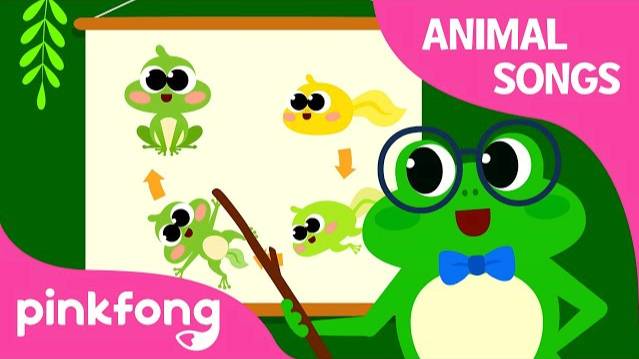 Frog Transformation Dance | Animal Songs | Learn Animals | Pinkfong Animal Songs for Children