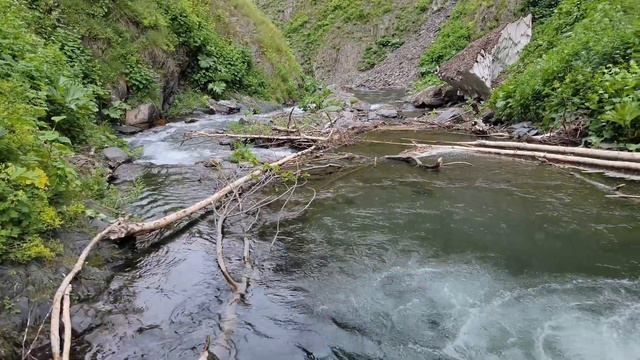 Рыбалка 🎣 Цунтинский район 22.07.2024