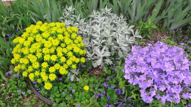 Flower Gallery