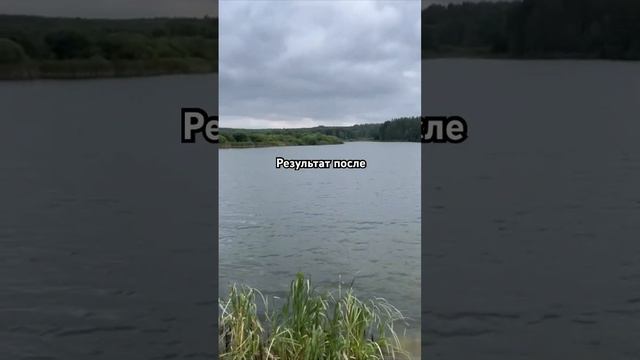 Хлорелла вб 240412518/ Озон 1606690876