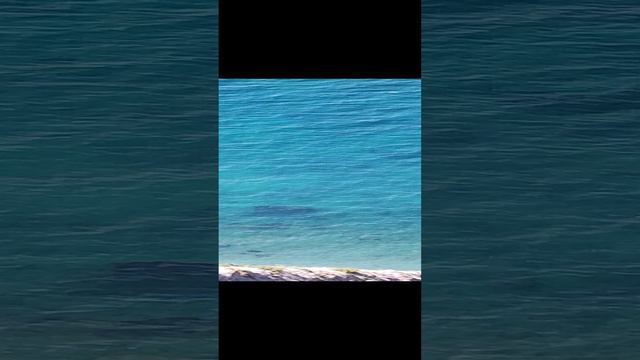 Чёрное море 🌊