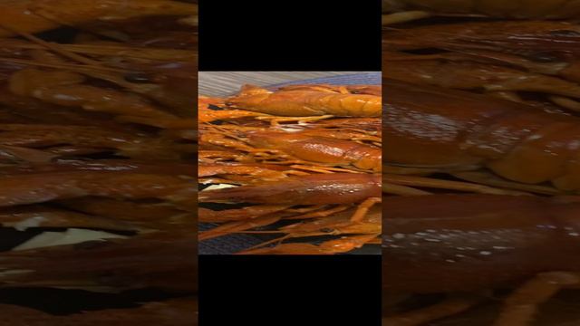 25-09-2024