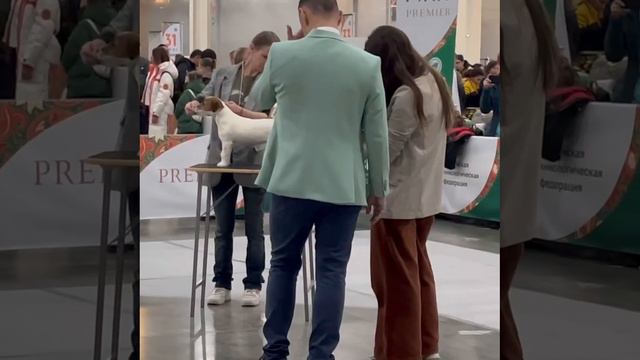 Хабиби на Евразии