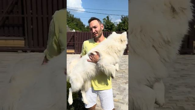 Отзыв плитка пропресс