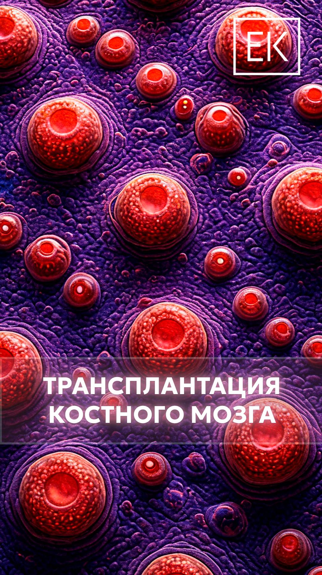 Как стать донором и спасти жизнь? Узнайте подробнее!