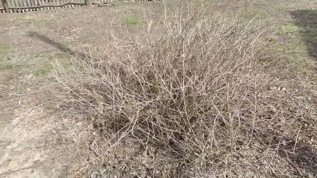 Самодельный гель для стирки. Оладьи на сухой сковороде! Уборка дома.