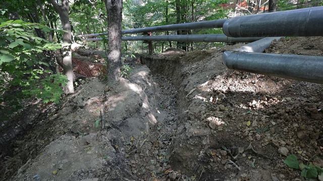 Природный парк благоустраивают рядом с жилым микрорайоном на улице Кирова.