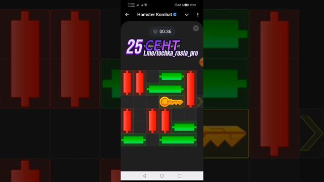 ГОЛОВОЛОМКА 25 сентября Хамстер Комбат (Hamster Kombat) | КАК ЗАБРАТЬ КЛЮЧ