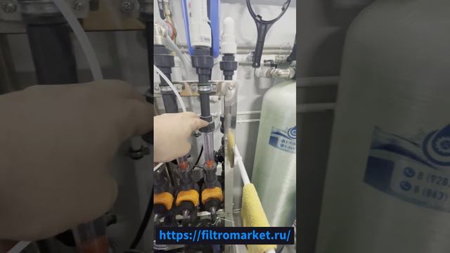 Осмос