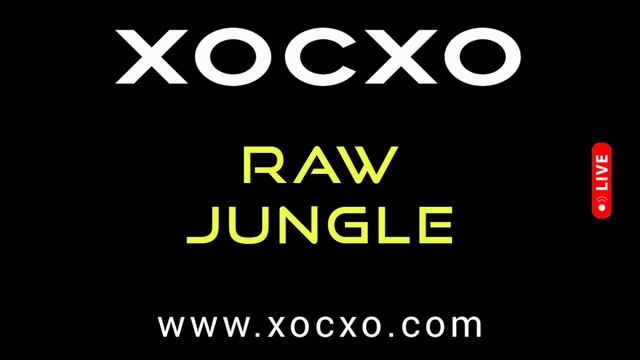 XOCXO Drum-and-bass Music 2024 - ХОСХО драм-энд-бейс музыка - хиты фестивали 2025 - RAW JUNGLE