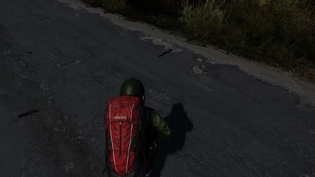 DayZ оптимизировали но запись почему то тёмная