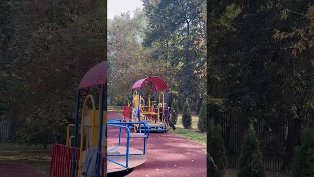 Выходные на высоких скоростях с  ЦССВ «Радуга» (1-я территория)