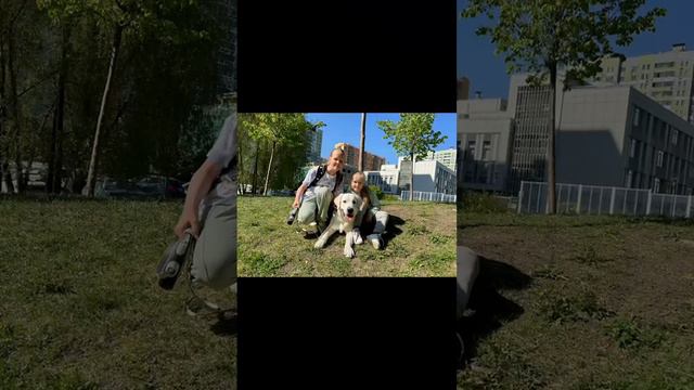 Первогодие питомца