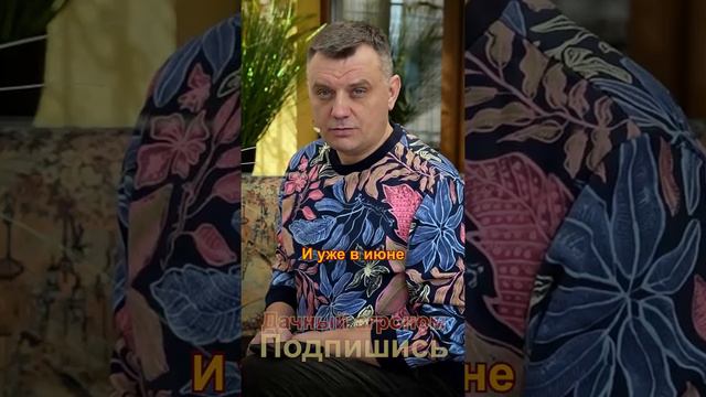 Не укрывай смородину на зиму!