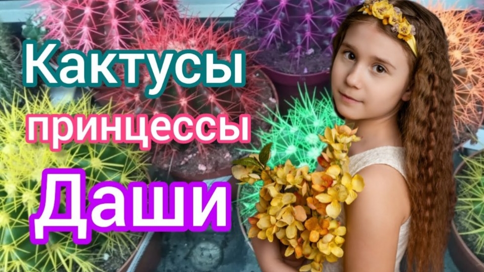 Дашины цветы Кактусы 2024 #цветы #растения #вода #полив #водаэтожизнь #благовещенск #vlog