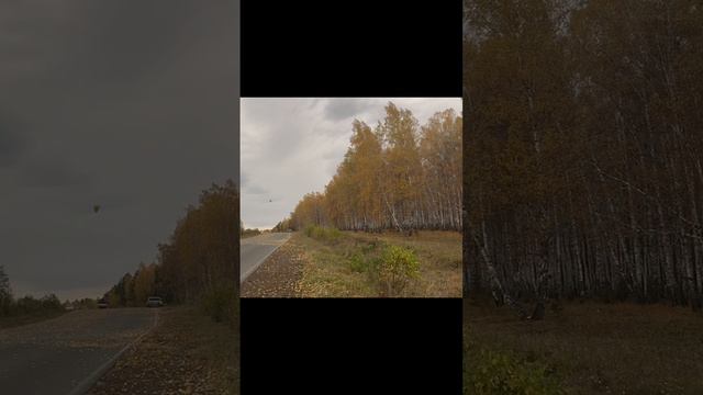 Осень 🍂