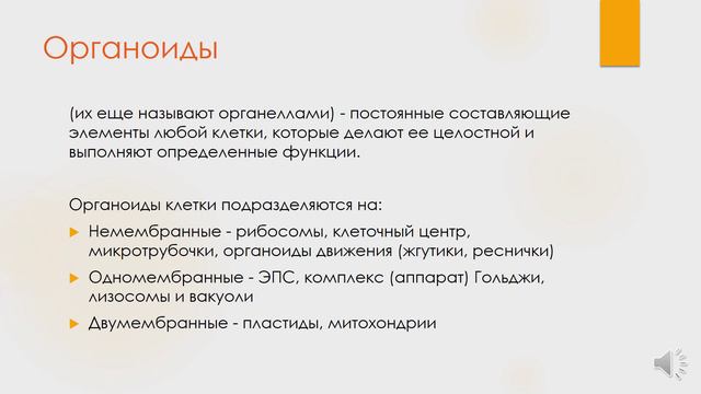 Структурная организация клетки