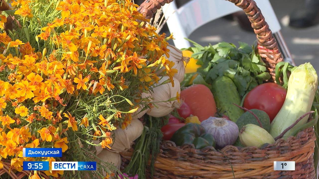 09:30 ВЕСТИ САХА 25/09/24 НА ЯКУТСКОМ ЯЗЫКЕ