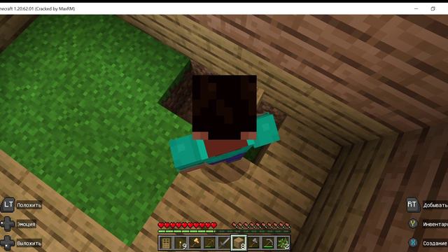 Играю в Minecraft