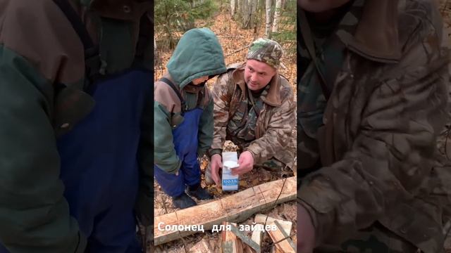 Зайцам понравится!