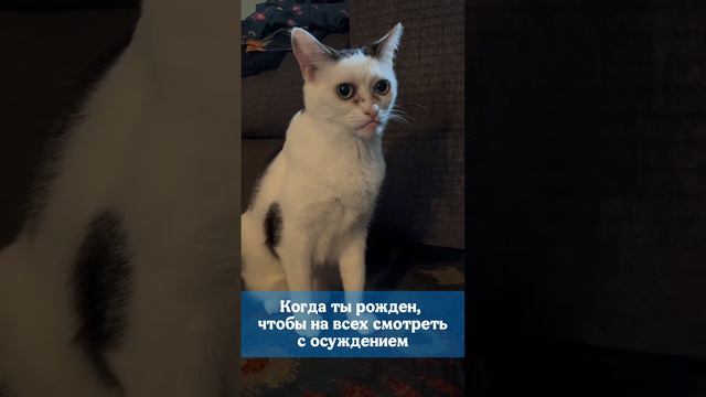 Когда ты рожден, чтобы на всех смотреть с осуждением