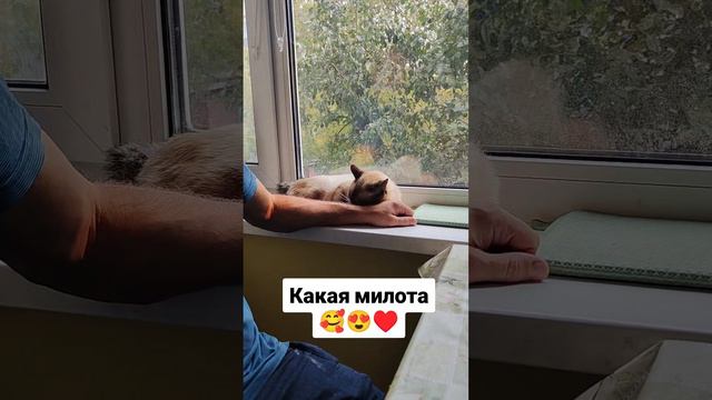 Какая милота 😍♥️