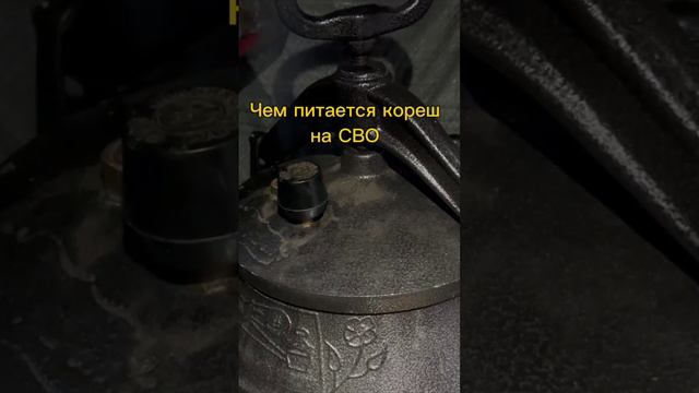 Чем питается кореш на СВО