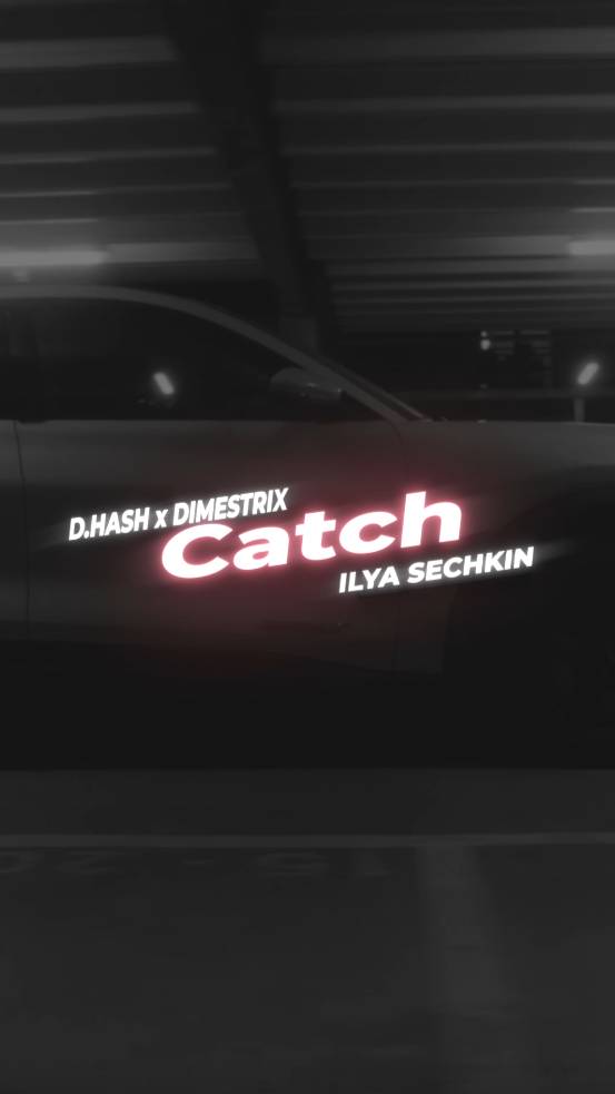 D.HASH x DIMESTRIX x ILYA SECHKIN - Catch